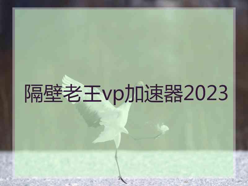 隔壁老王vp加速器2023