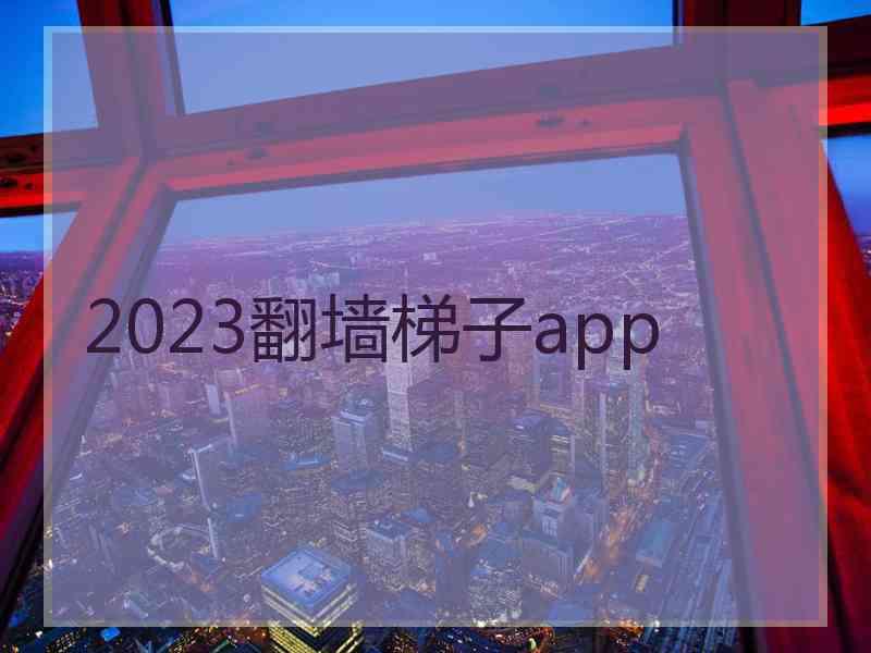 2023翻墙梯子app
