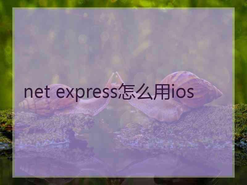 net express怎么用ios