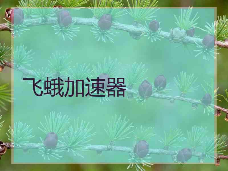 飞蛾加速器
