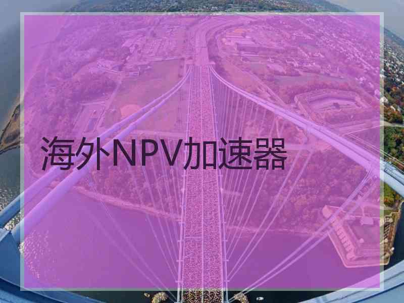 海外NPV加速器