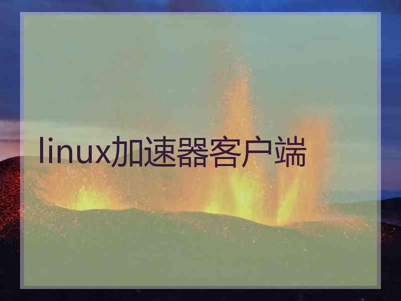 linux加速器客户端