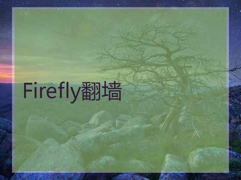Firefly翻墙