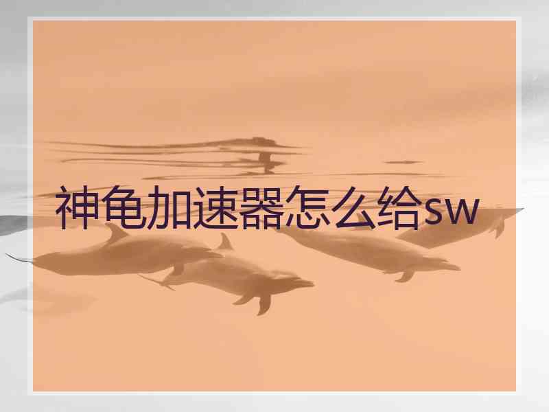 神龟加速器怎么给sw