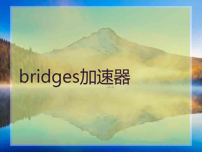 bridges加速器