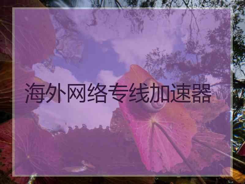 海外网络专线加速器
