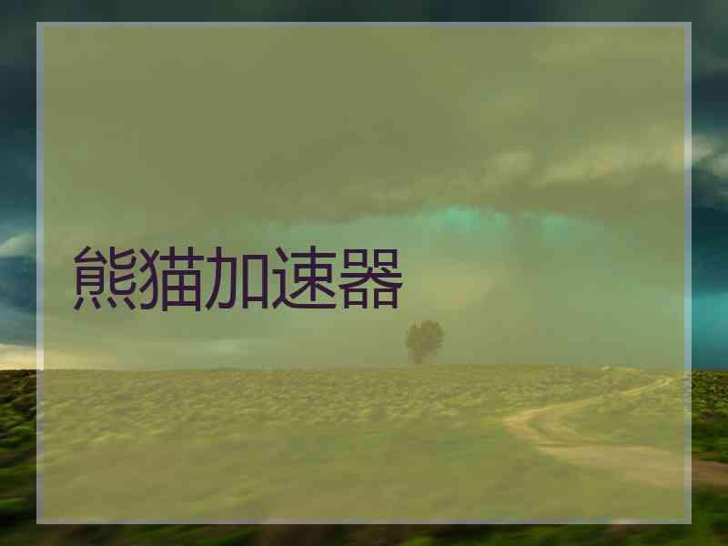 熊猫加速器