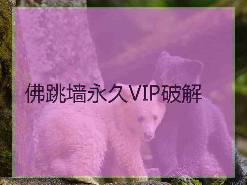 佛跳墙永久VIP破解