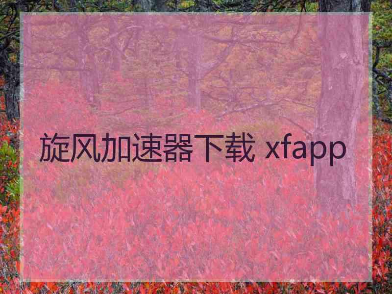 旋风加速器下载 xfapp