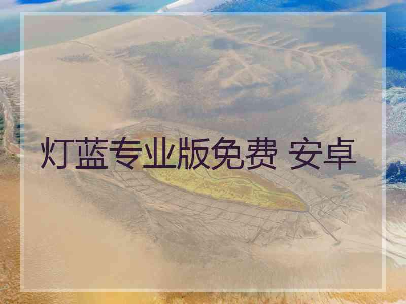 灯蓝专业版免费 安卓