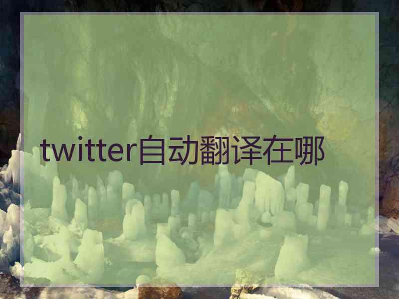 twitter自动翻译在哪