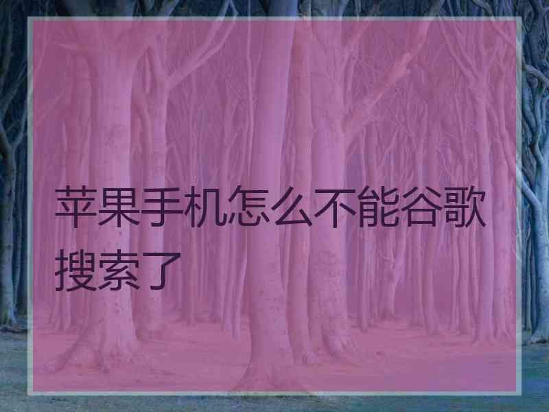 苹果手机怎么不能谷歌搜索了