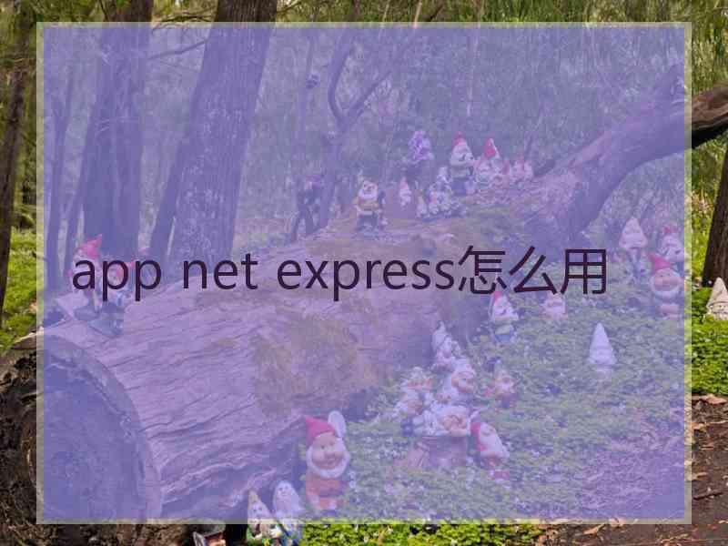 app net express怎么用