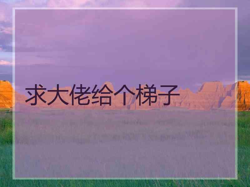 求大佬给个梯子
