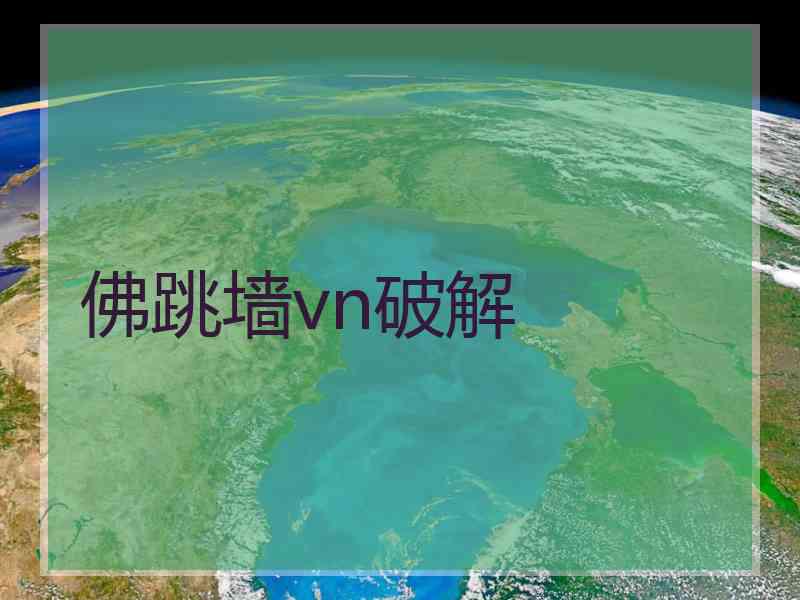 佛跳墙vn破解