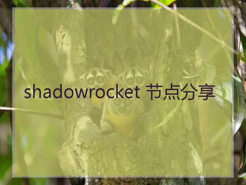 shadowrocket 节点分享