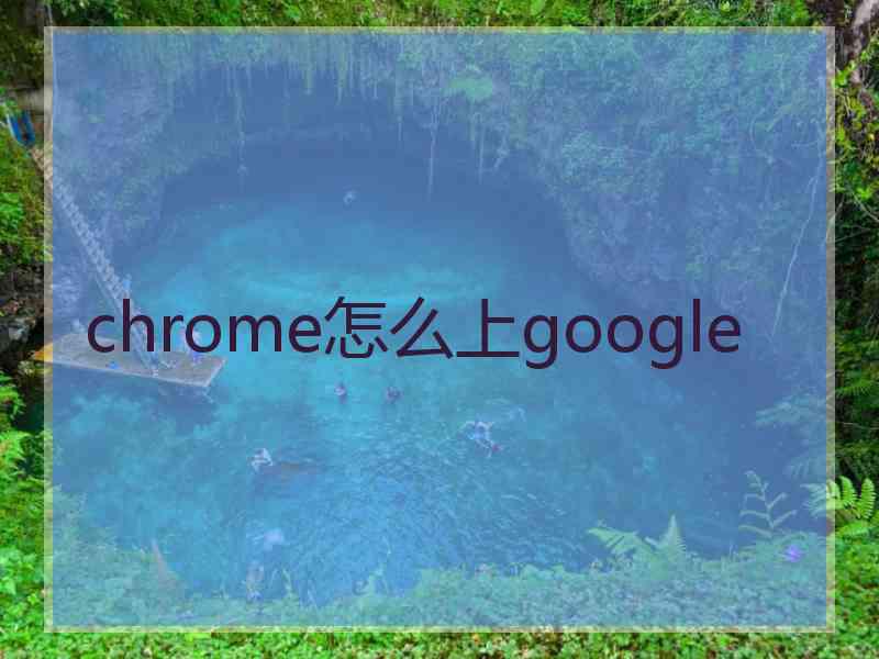 chrome怎么上google