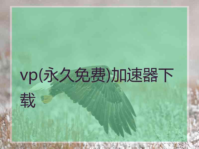vp(永久免费)加速器下载