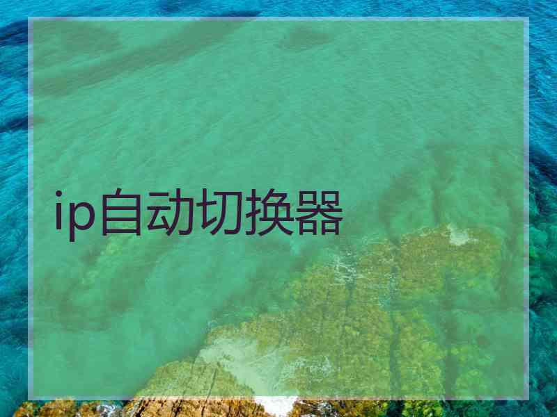 ip自动切换器