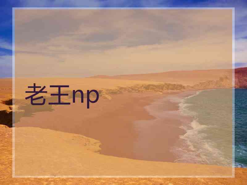 老王np