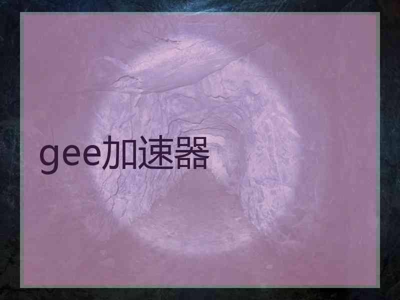 gee加速器