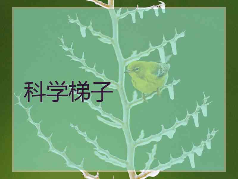 科学梯子