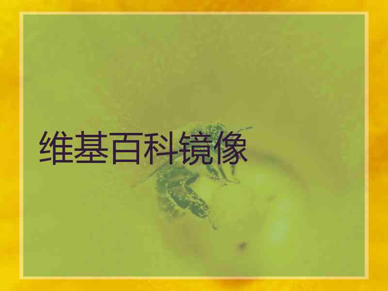 维基百科镜像