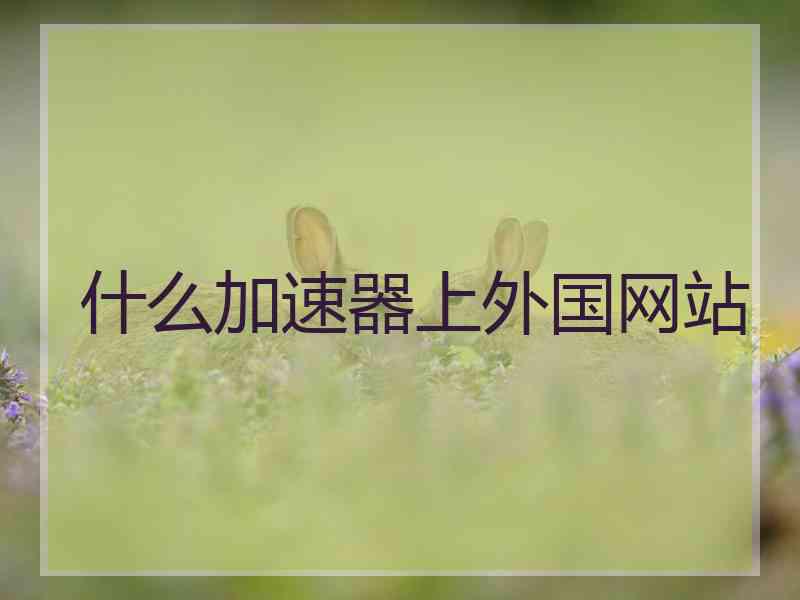 什么加速器上外国网站