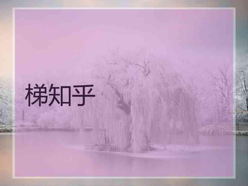 梯知乎