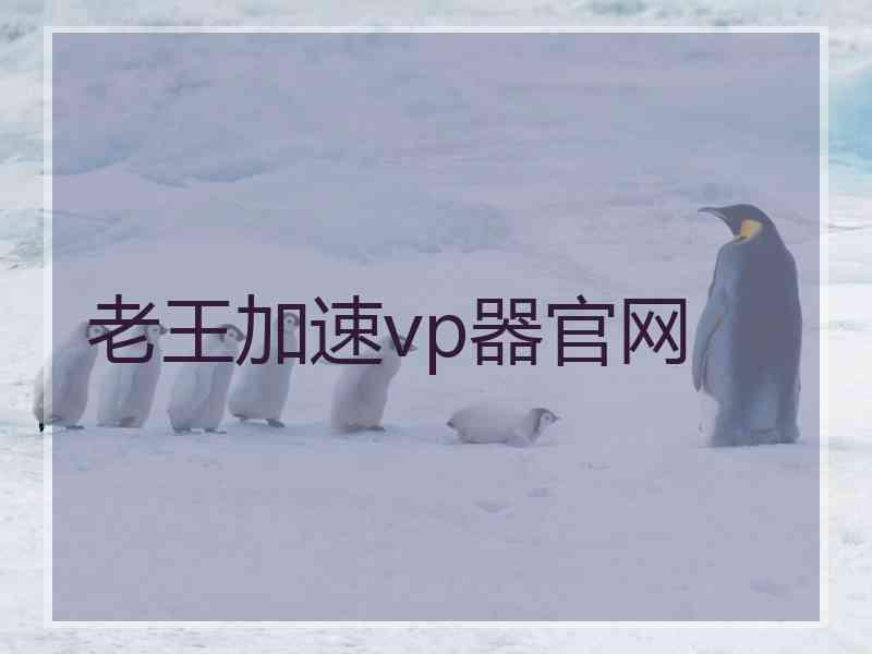 老王加速vp器官网