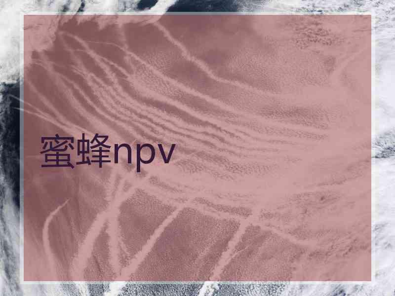 蜜蜂npv