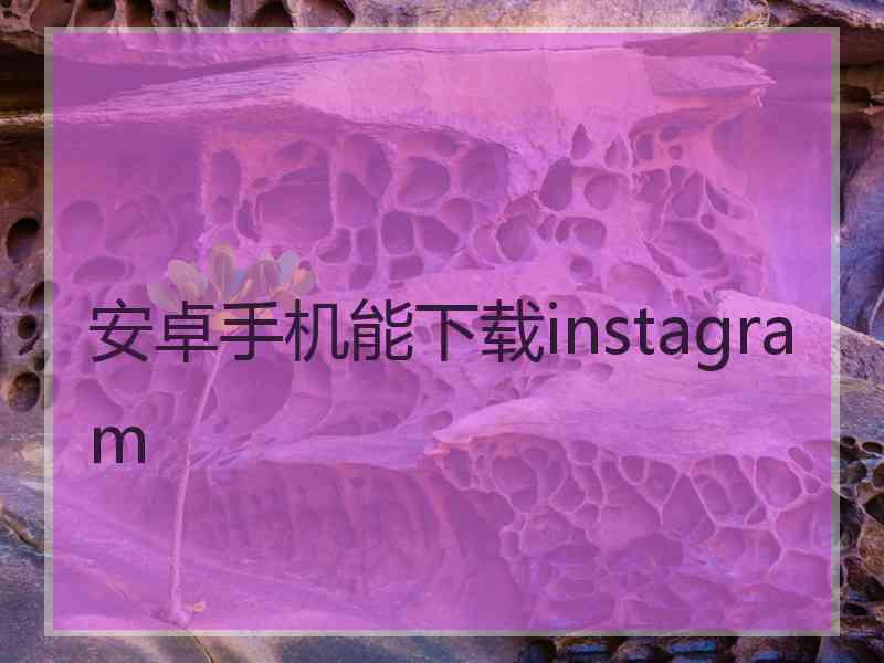 安卓手机能下载instagram