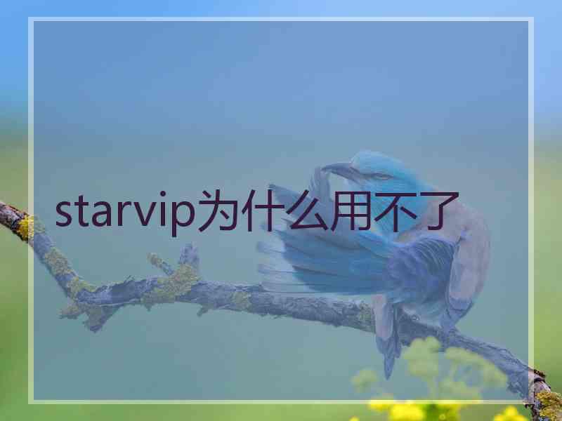 starvip为什么用不了