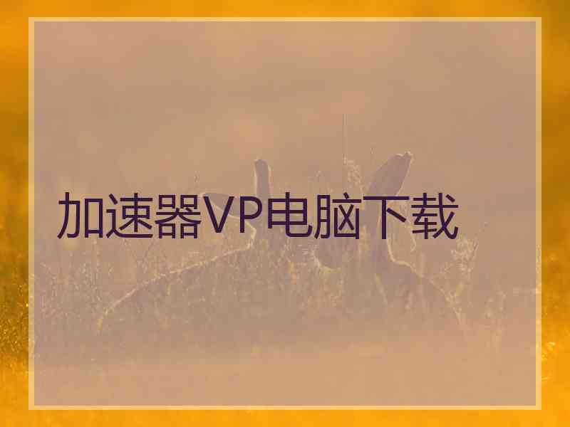加速器VP电脑下载
