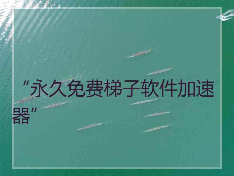 “永久免费梯子软件加速器”