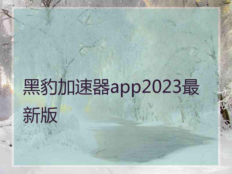 黑豹加速器app2023最新版
