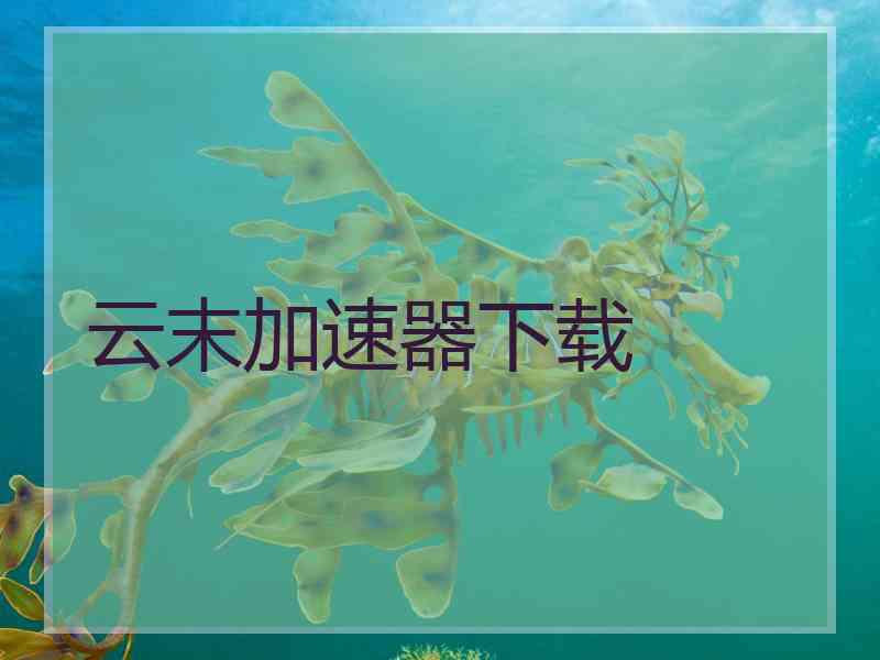云末加速器下载