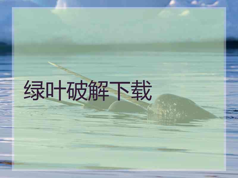 绿叶破解下载