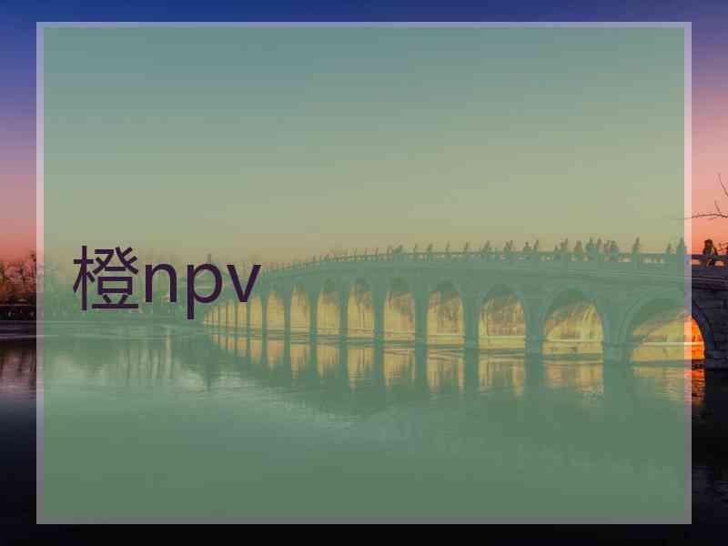 橙npv