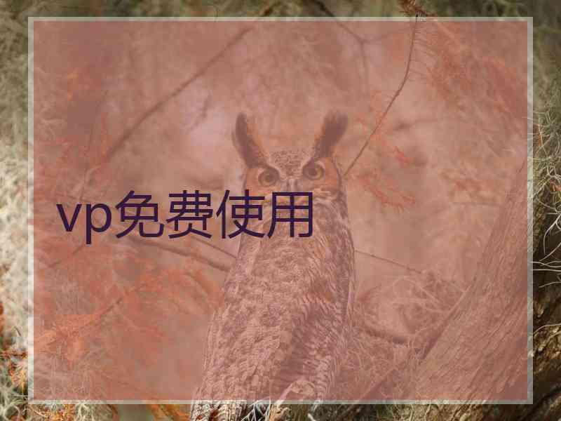 vp免费使用
