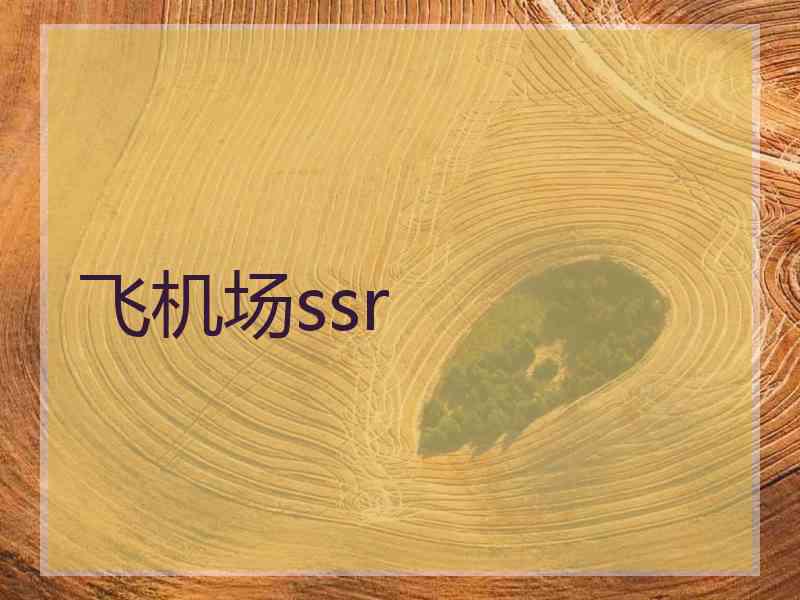 飞机场ssr