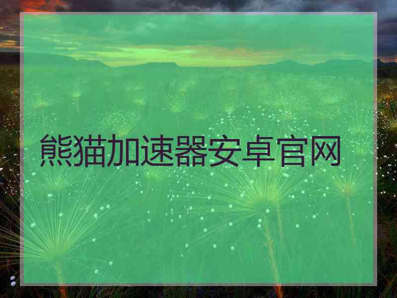 熊猫加速器安卓官网