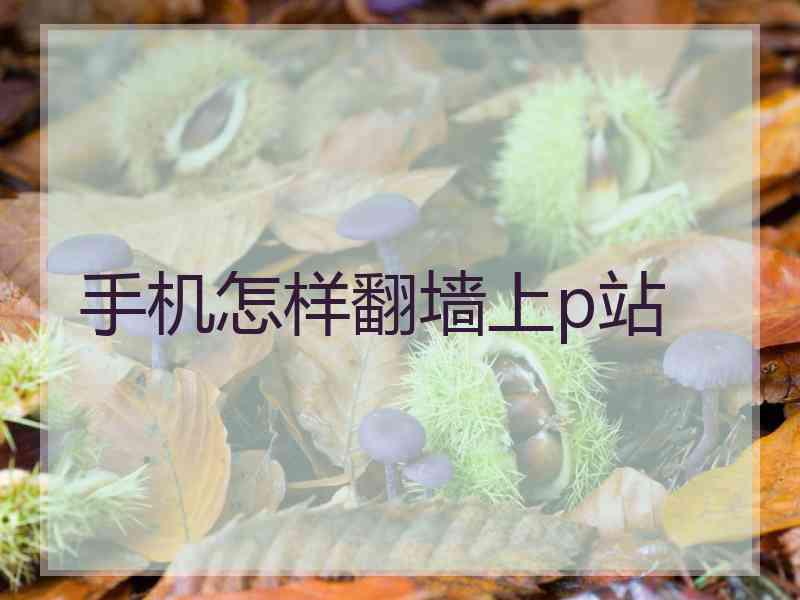手机怎样翻墙上p站