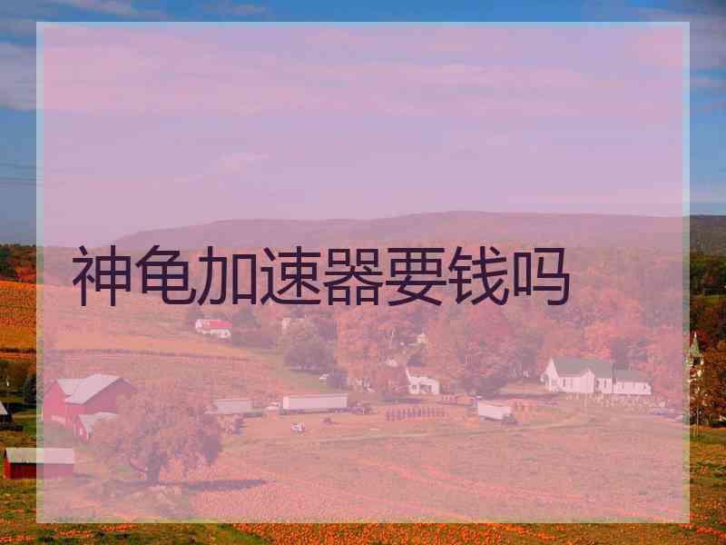 神龟加速器要钱吗