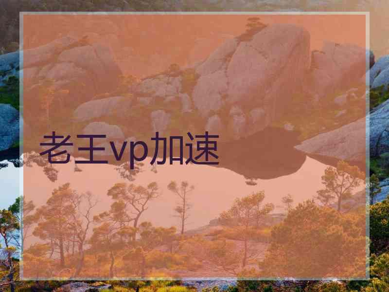 老王vp加速