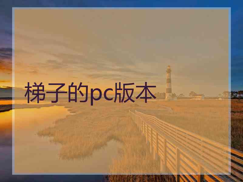 梯子的pc版本