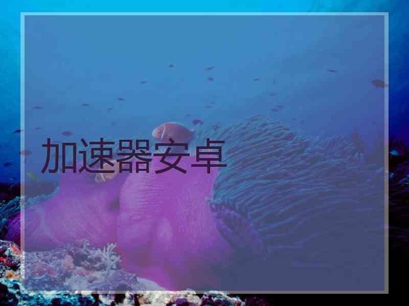 加速器安卓