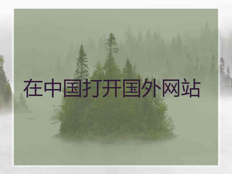 在中国打开国外网站