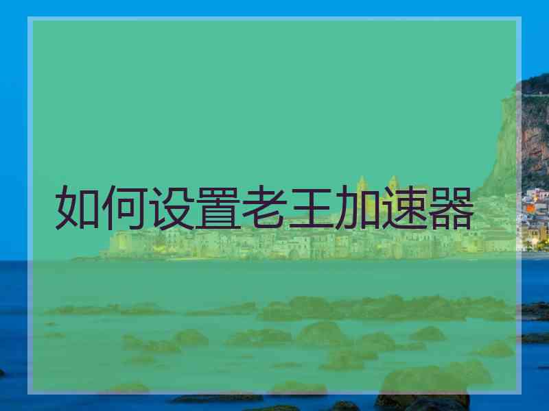 如何设置老王加速器