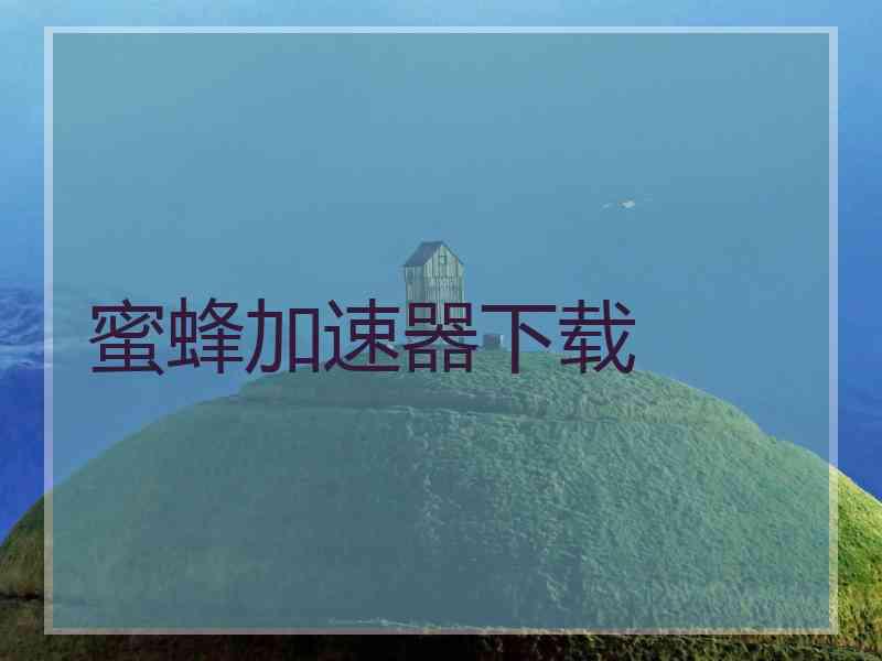 蜜蜂加速器下载